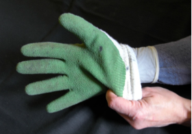 The Gloved Hand - Poison Ivy Removal Service in Connecticut